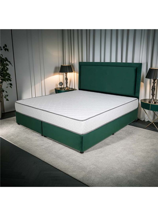 Bed and Mattress Zone Velvetine Upholstered Bed 193 X 90 Single Size Green Color, Mattress Size-190x90cm (Mattress sold separately)  - Image 1