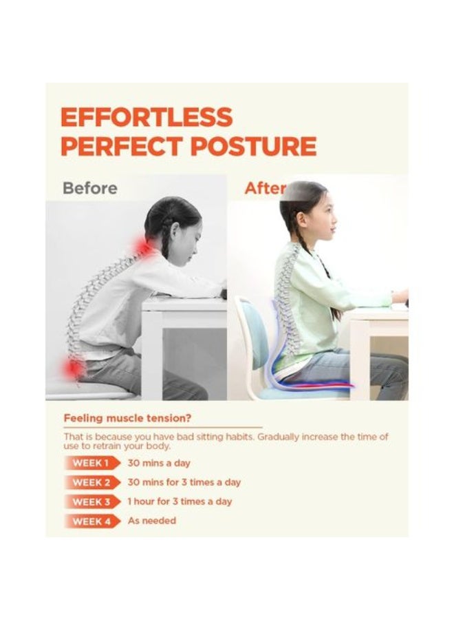 Innovative Posture Corrector and Back Support Chair | Contemporary Design and Breathable Material | Portable and Lightweight Support for Home and Office | Stylish Gray Perfection Posture Cushion Size 38*35 - Image 5