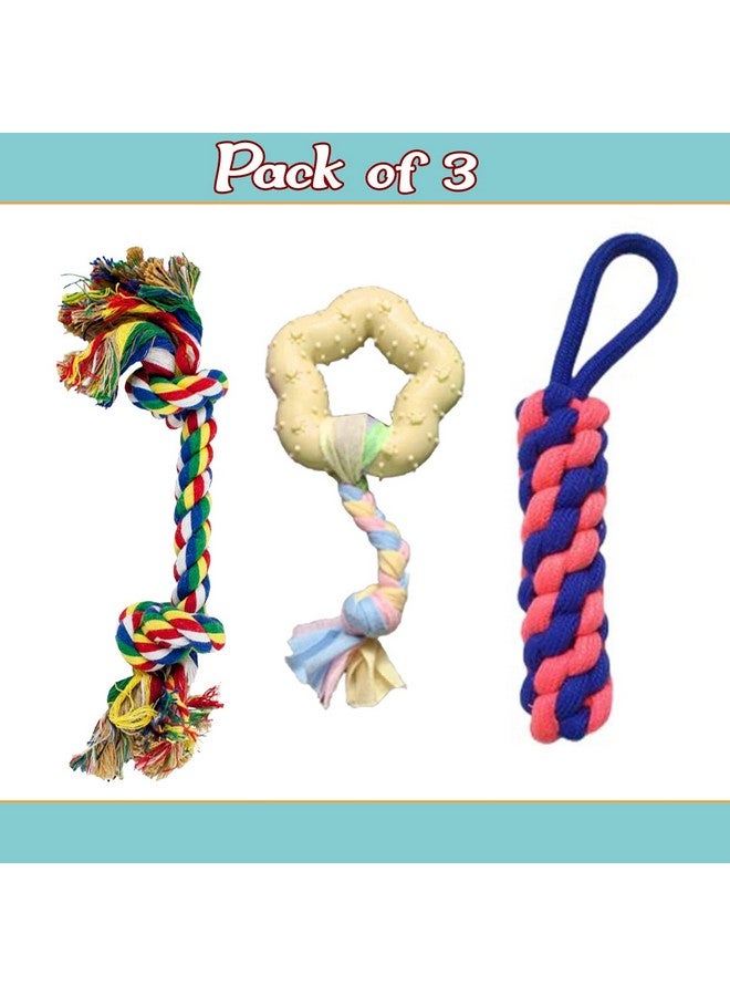 إيميلي بيتس لعبة حبل للمضغ والتسنين للكلاب الصغيرة، لعبة حبلية مكونة من عقدتين، لعبة مضغ للكلاب مع حبل مضفر، لعبة على شكل نجمة مطاطية كرتونية للجراء والقطط (قد يختلف اللون) عبوة من 3 قطع - Image 2