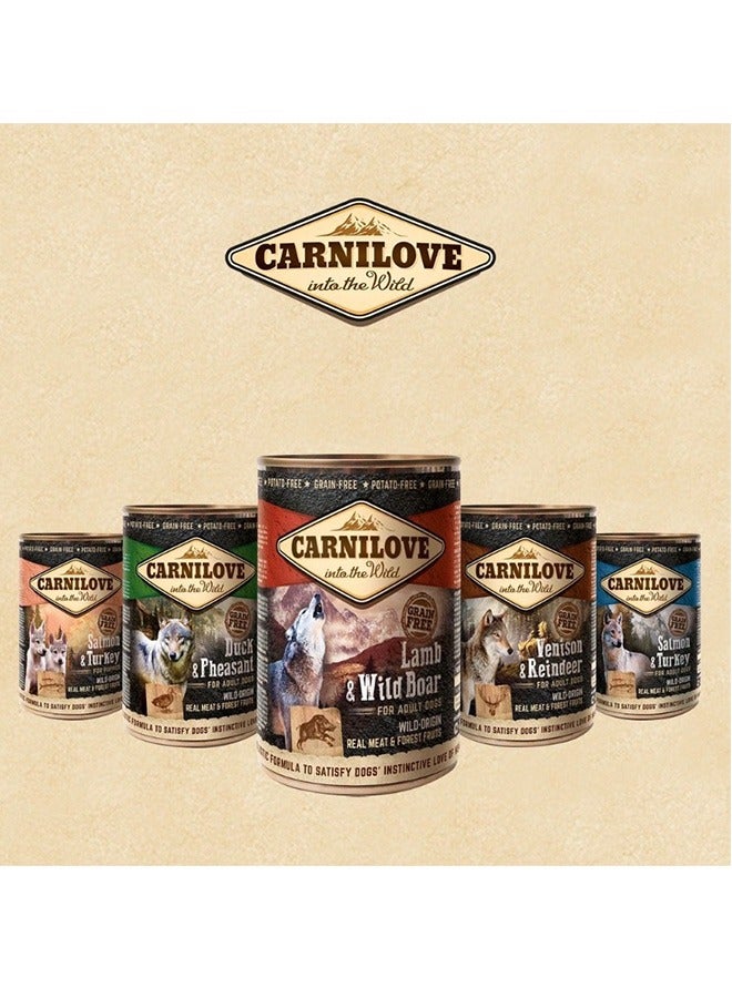 CARNILOVE Lamb And Wild Boar For Adult Dogs - 400 GM - Image 3
