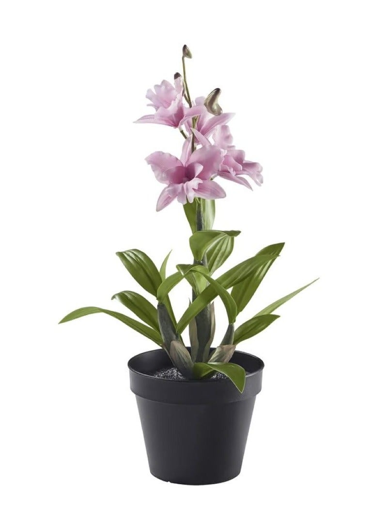 آيكيا فراكتا نبات صناعي في آنية, داخلي/خارجي/دَنْدروب نبيل زهري, 12 سم - Image 1