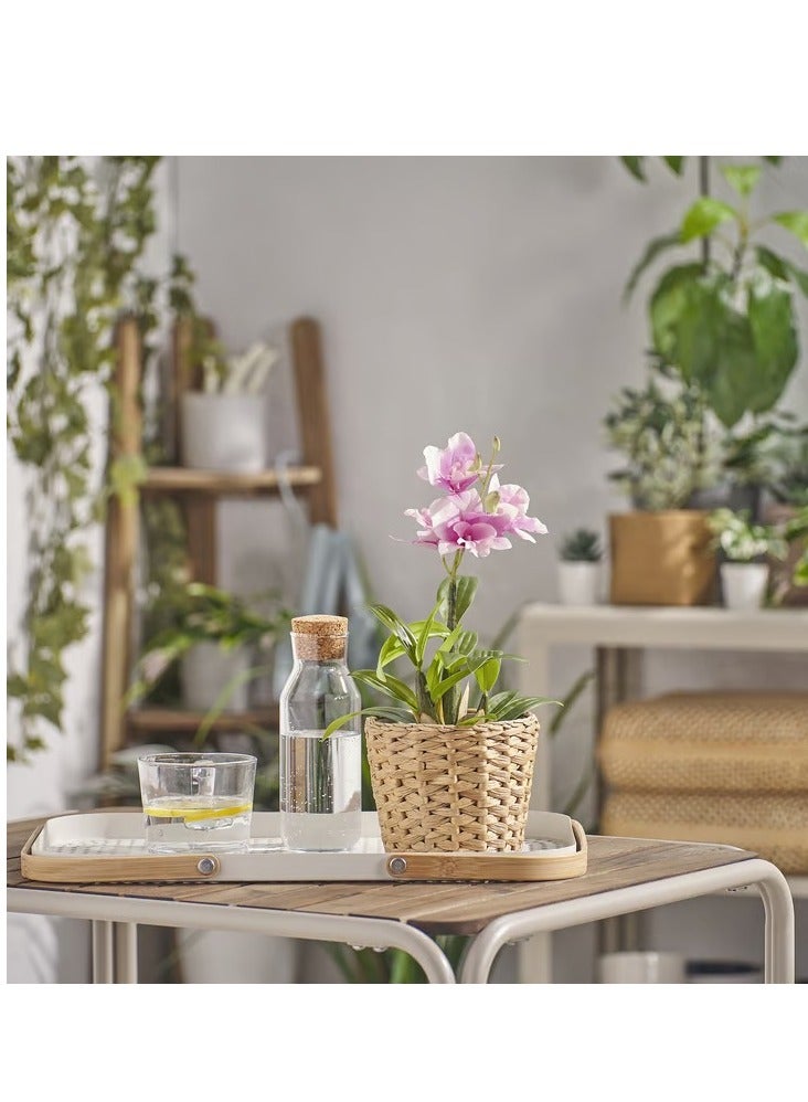 آيكيا فراكتا نبات صناعي في آنية, داخلي/خارجي/دَنْدروب نبيل زهري, 12 سم - Image 2