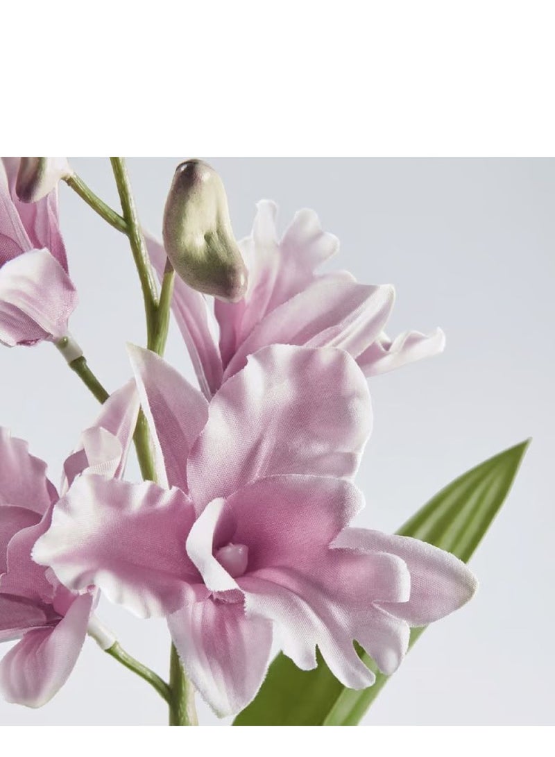 آيكيا فراكتا نبات صناعي في آنية, داخلي/خارجي/دَنْدروب نبيل زهري, 12 سم - Image 3