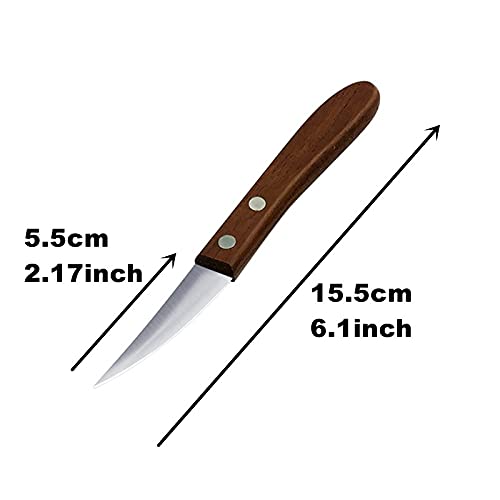 HTIAM 4 Pieces Kitchen Vegetable DIY Carving Knives Professional Chef Knife Sharp Well Food Fruit Paring Knife - Image 4