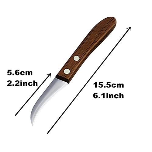 HTIAM 4 Pieces Kitchen Vegetable DIY Carving Knives Professional Chef Knife Sharp Well Food Fruit Paring Knife - Image 5