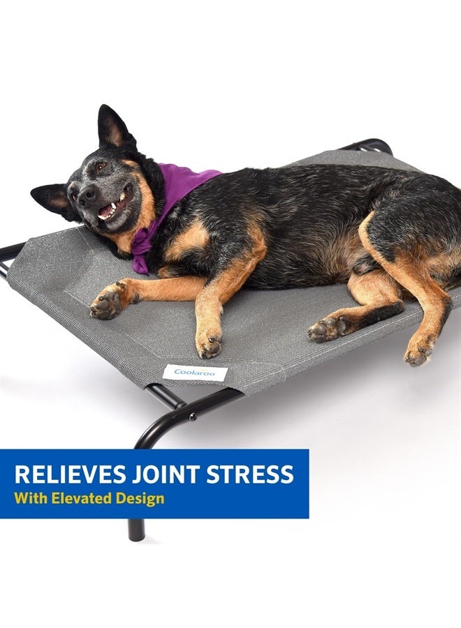 The Original Cooling Elevated Dog Bed, Indoor and Outdoor, Large, Brunswick Green