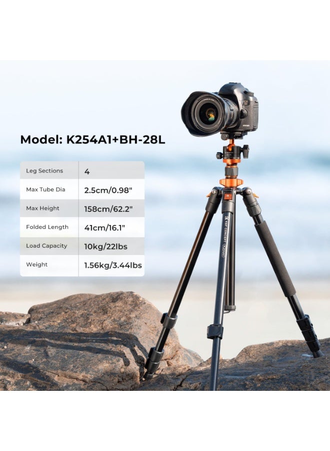 K&F Concept حامل كاميرا DSLR بطول 62 بوصة، خفيف الوزن ومضغوط، حامل أحادي قابل للفصل من الألمنيوم مع رأس كرة بانورامي 360 لوحة إطلاق سريعة للسفر والعمل - Image 3
