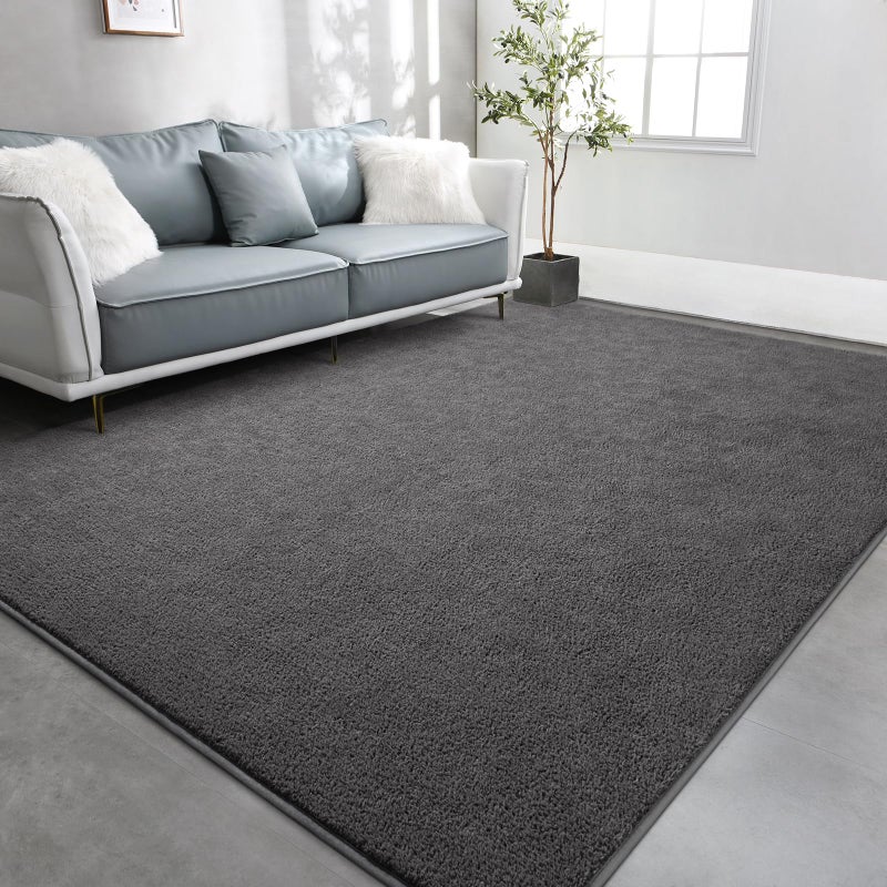 TWINNIS Large Area Rugs for Living Room Bedroom, 4x6 Feet, Super Soft Indoor Thickened Memory-Foam Carpets Easy-Cleaning, Modern Aesthetic Minimalist Comfy Rug for Kids Room Home Decor, Dark Grey - Image 1