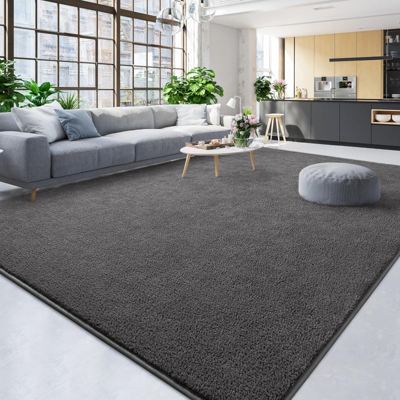 TWINNIS Large Area Rugs for Living Room Bedroom, 4x6 Feet, Super Soft Indoor Thickened Memory-Foam Carpets Easy-Cleaning, Modern Aesthetic Minimalist Comfy Rug for Kids Room Home Decor, Dark Grey - Image 5