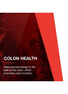 Protocol For Life Balance Bifido Digest Supports Gastrointestinal Wellbeing And Transit Time Immune System Support Colon Health Support 60 Veg Capsules  - Image 5