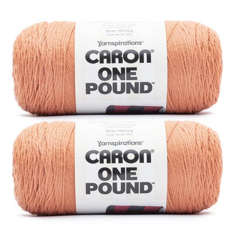 Caron One Pound Faded Brick Yarn  2 Pack of 16oz4536g  Acrylic  4 Worsted Medium  812 Yards  Knitting  Crochet