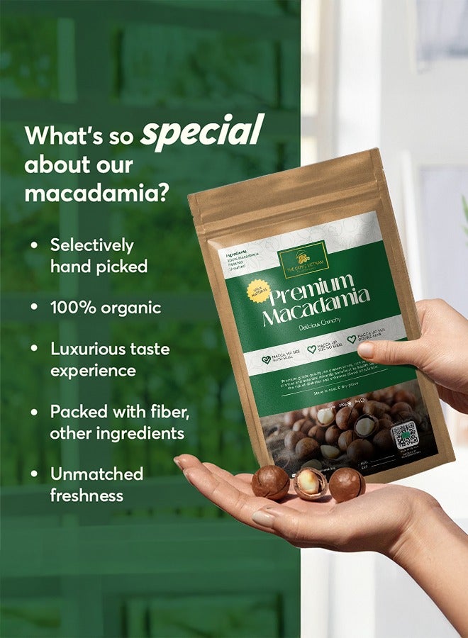 The Caphe Vietnam Premium Macadamia Nuts - 500 G | VIP Size With Shell | Unsalted & Roasted | Premium Vietnamese Macadamia Nuts  - Image 5