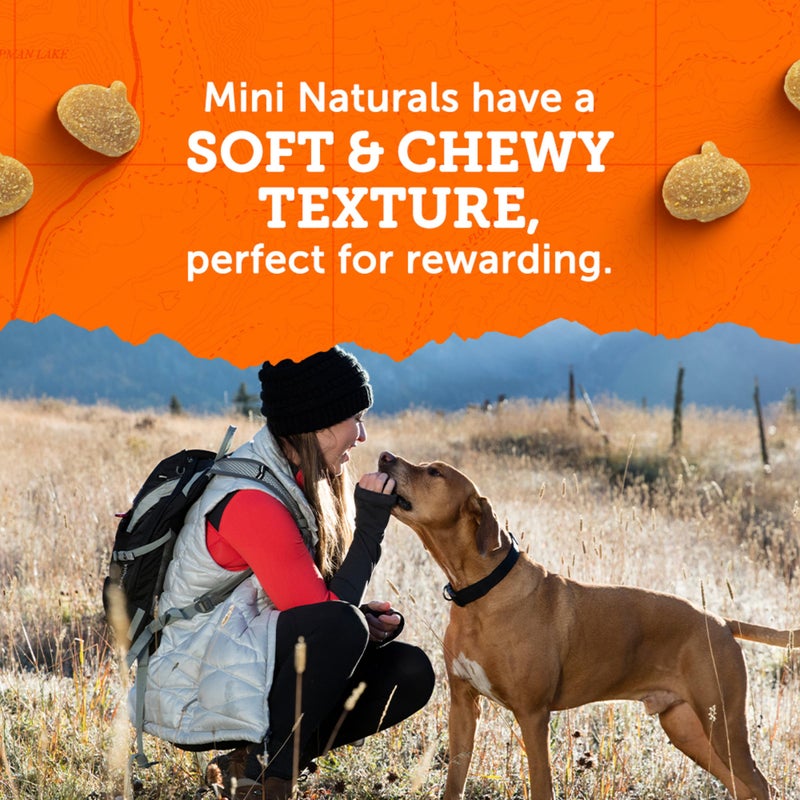 Zuke's Zukeâ€™s Mini Naturals Dog Training Treats for Dogs of All Sizes, Pet Treats made with Real Turkey and Pumpkin, 5 oz. Resealable Pouch - 5 oz. Bag - Image 4