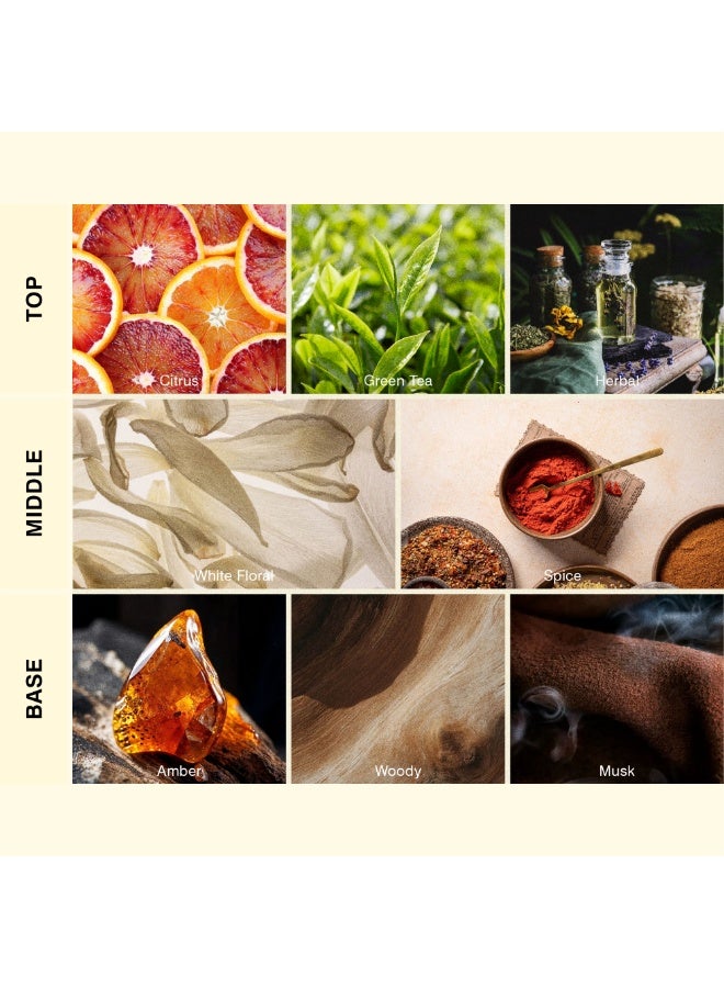 ISCENT | White Tea – Fragrance Oil Refill for Ensō Mini Diffuser 10ml | Green Tea, White Florals & Amber for Home & Car | Fresh Citrus with Soft Spice & Warm Woods - Image 2