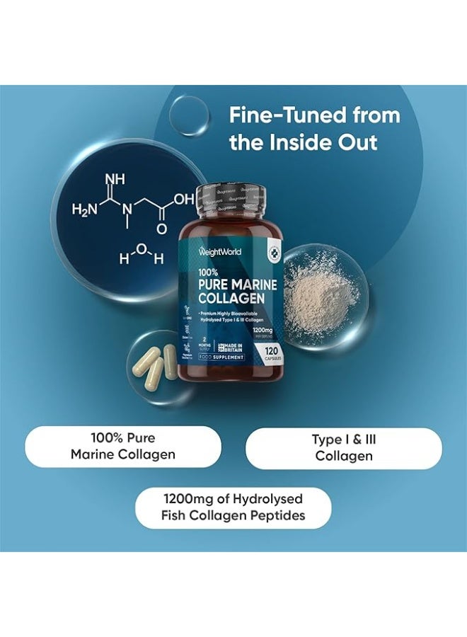 WeightWorld Pure Marine Collagen 1200 mg • 120 Capsules • Youthful Skin Support • Stronger Hair & Nails • Joint & Bone Health • Boosts Natural Collagen • Anti-Aging Formula • Easy Daily Supplement - Image 2
