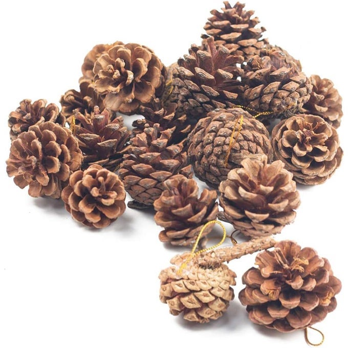 18 PCS NATURAL PINE CONES CHRISTMAS RUSTIC PINECONES FALL GARLAND HALLOWEEN THANKSGIVING DECORATIONS CHRISTMAS TREE FALL ORNAMENTS WINTER VASE FILLER