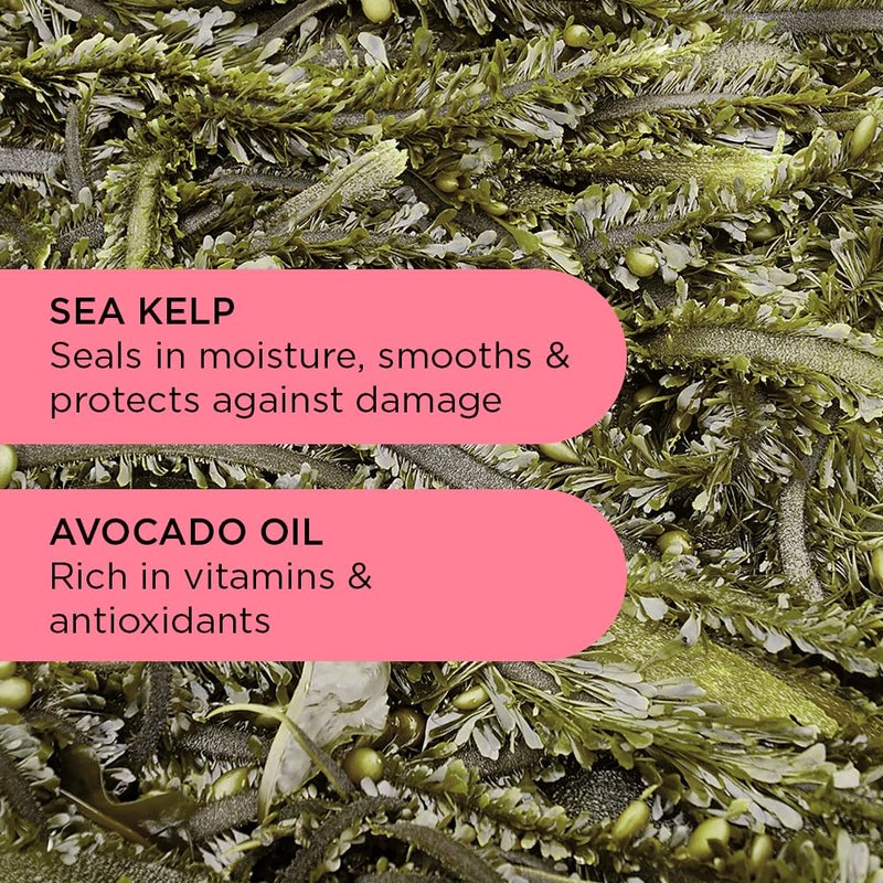 Noughty 97% Natural Wave Hello Curl Defining Conditioner, to Condition, Soften and Define Curls with Sea Kelp Extract and Avocado Oil, Sulfate Free Vegan Haircare 8.4fl.oz - Image 3