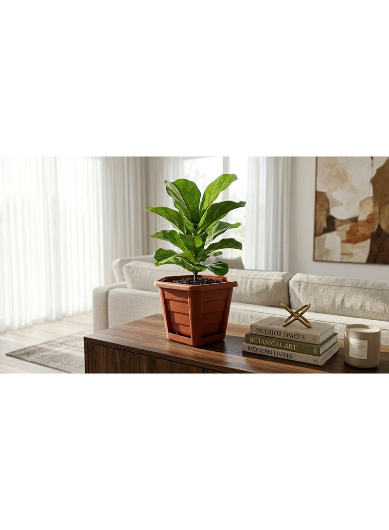 Modern Hexagonal Plastic Planting Pot Flower Planter with Matching Drainage Saucer Tray for Indoor Houseplants & Artificial Floral Decor - Size 34*25 - Image 5