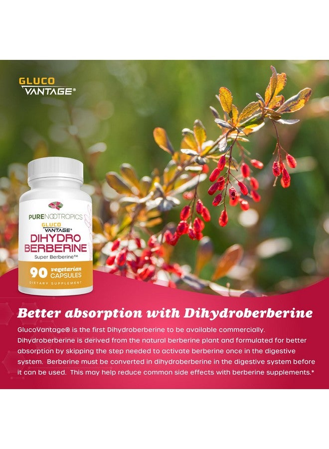 Pure Nootropics Pure Nootropics - Dihydroberberine Supplement (GlucoVantage) 100 mg, 90 Capsules | Super Berberine - Image 4