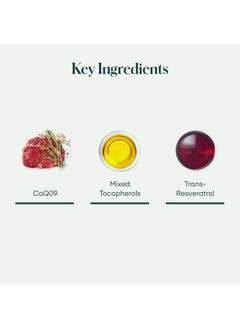 Shaklee Coqheart With Qtrol Coq10 Transresveratrol And Tocopherols For Heart 30 Softgels  - Image 5