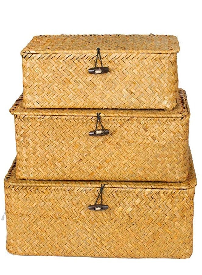 HOME TASTE TOMSUN Wicker Storage Baskets with Lids Natural Seagrass Rattan Woven Organizer Boxes Shelf Baskets for Shelves Organizing - Image 1