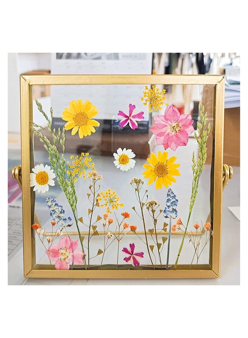 Excefore 72 PCS Real Dried Pressed Flowers, Art Natural Dried Flower Leaf Plant Herbarium for Making Jewelry Nail Scrapbooking DIY Candle Decoration Resin Jewelry Crafts Making (White Daisy) - Image 4