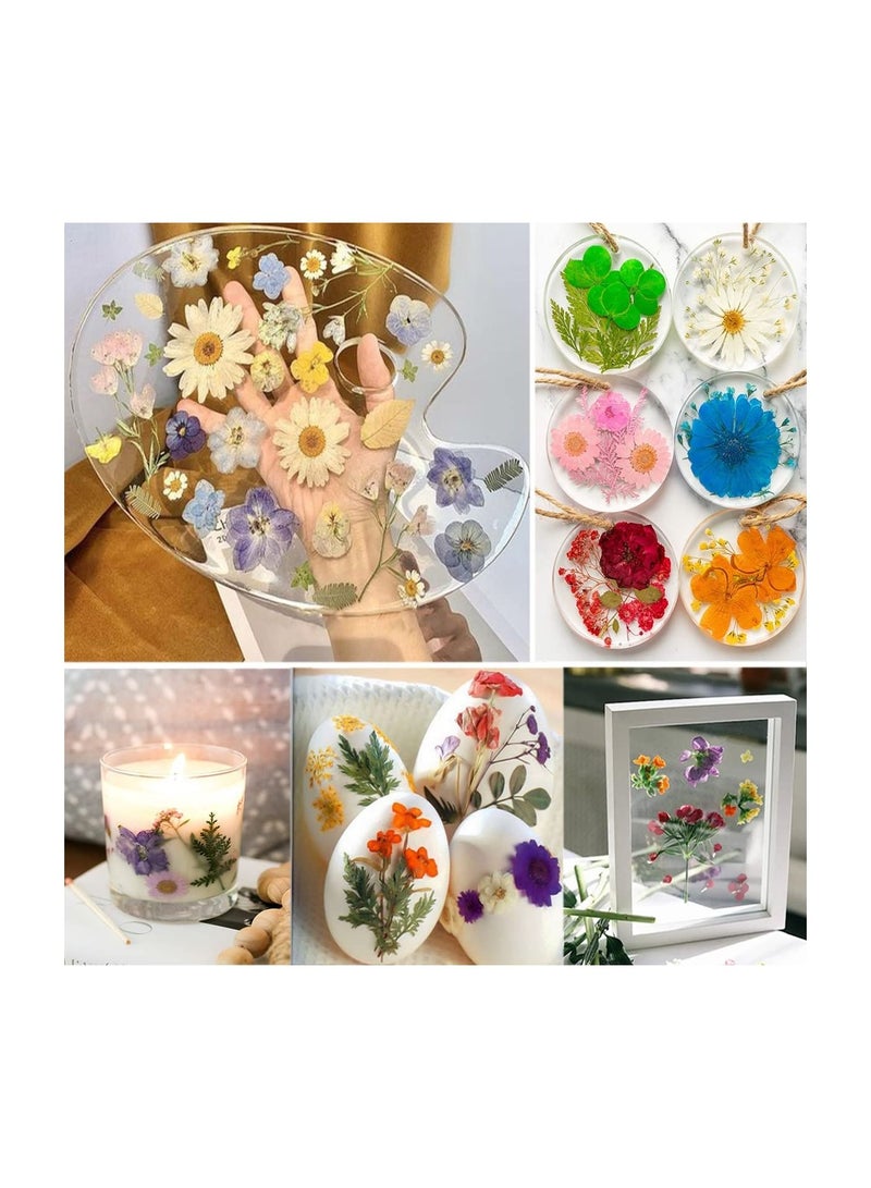 Excefore 72 PCS Real Dried Pressed Flowers, Art Natural Dried Flower Leaf Plant Herbarium for Making Jewelry Nail Scrapbooking DIY Candle Decoration Resin Jewelry Crafts Making (White Daisy) - Image 3