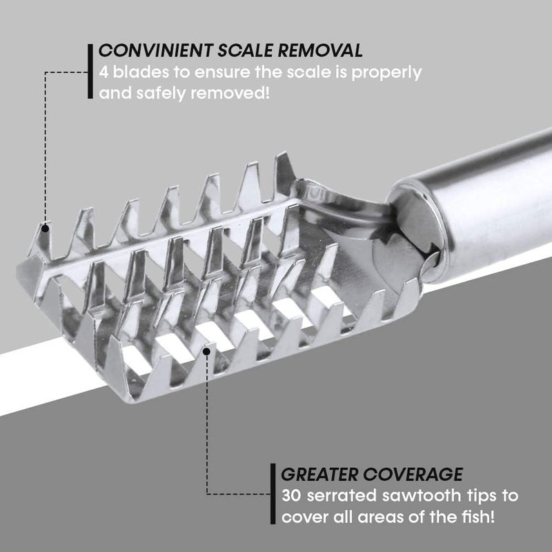 Mishti Enterprise MISHTI Fish Scale Remover Scraper Stainless Steel Fish Cutting Tools Sawtooth Easily Remove Fish ScalesCleaning Brush Scraper Kitchen Tool  - Image 3