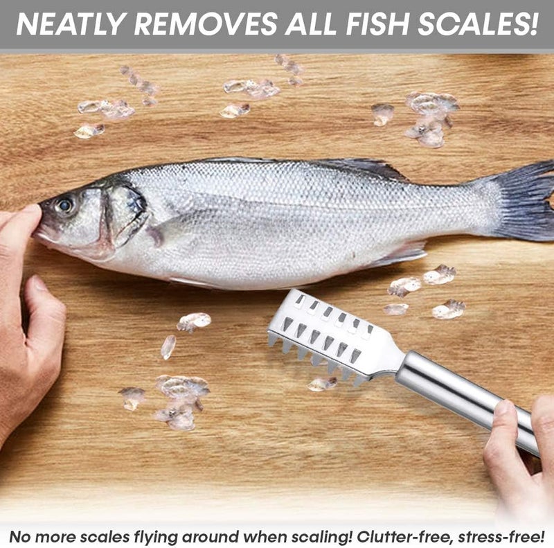 Mishti Enterprise MISHTI Fish Scale Remover Scraper Stainless Steel Fish Cutting Tools Sawtooth Easily Remove Fish ScalesCleaning Brush Scraper Kitchen Tool  - Image 5