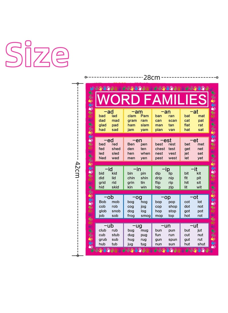 NOVOLAN NOVOLAN Visual Vocabulary Poster 2 Sheets, English Visual Vocabulary Poster Classroom Poster Decoration Preschool Kindergarten Learning Poster, Large Size for Easy Visibility, Classroom Decorations  - Image 5