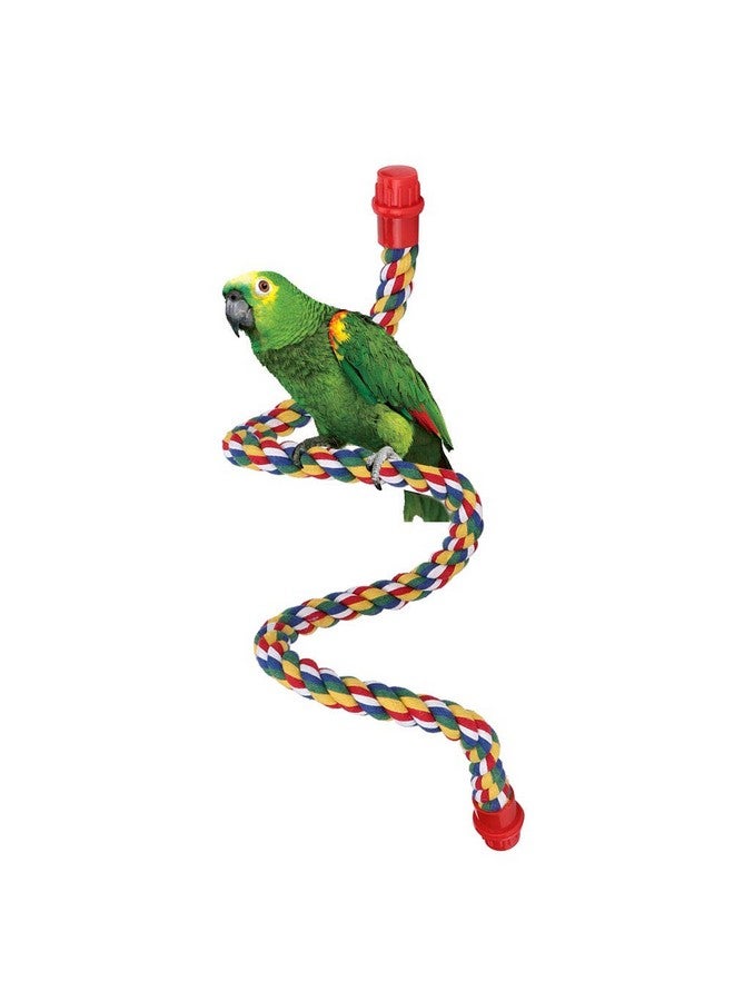 جلوجلو مجثم حبل الطيور، حبل قطني ملون قابل للانحناء والمضغ، حامل مجثم للببغاوات، البادجي، الببغاء الكوكتيل، الكونيور، طائر الحب، العصافير، الكناري (L) مجاثم - Image 1