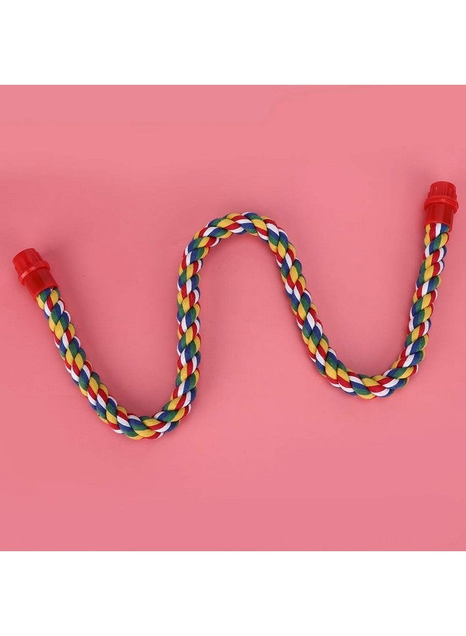 جلوجلو مجثم حبل الطيور، حبل قطني ملون قابل للانحناء والمضغ، حامل مجثم للببغاوات، البادجي، الببغاء الكوكتيل، الكونيور، طائر الحب، العصافير، الكناري (L) مجاثم - Image 4