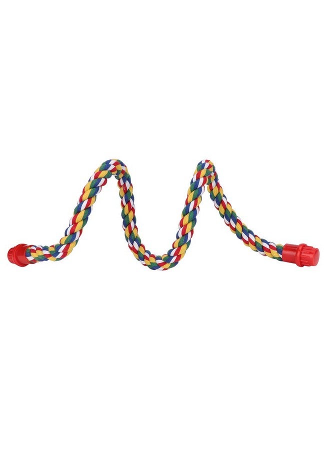 جلوجلو مجثم حبل الطيور، حبل قطني ملون قابل للانحناء والمضغ، حامل مجثم للببغاوات، البادجي، الببغاء الكوكتيل، الكونيور، طائر الحب، العصافير، الكناري (L) مجاثم - Image 3