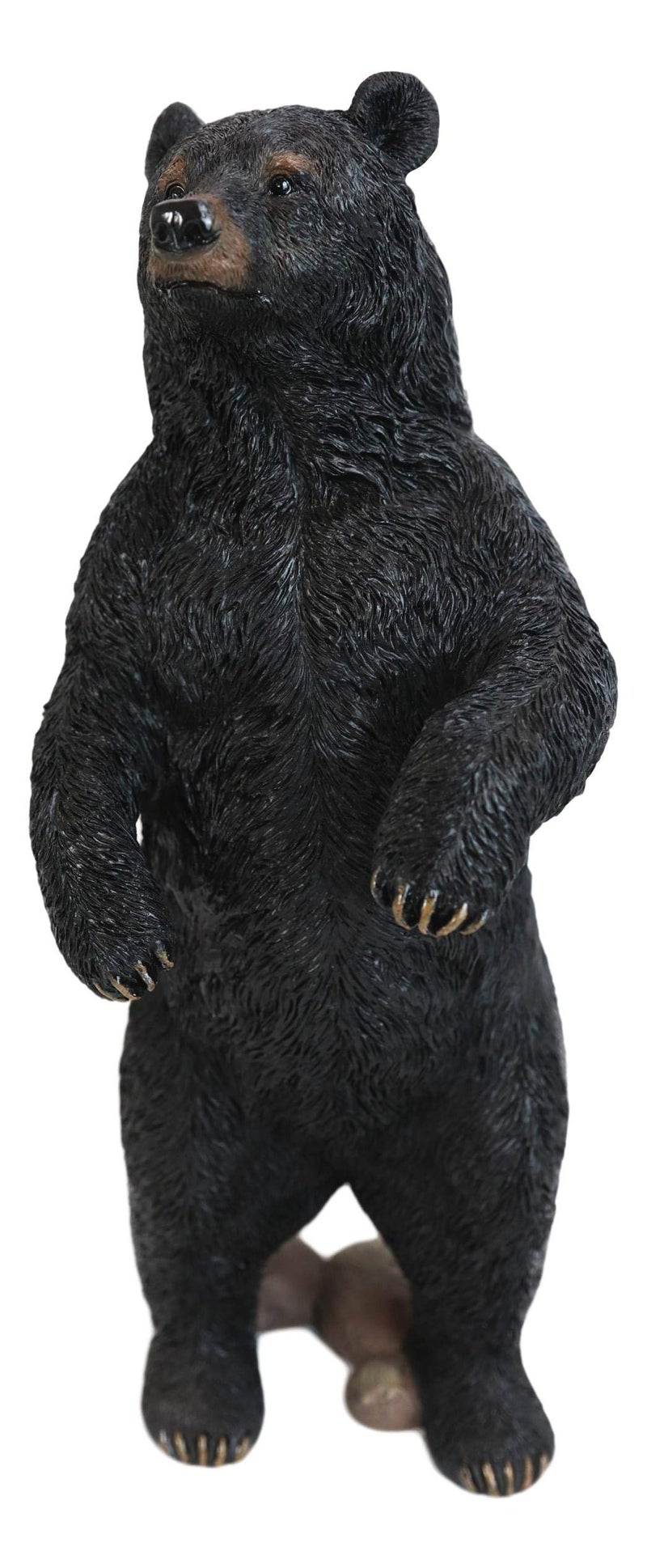 Ebros Realistic Rustic Forest Standing Black Bear Statue 1225 Tall Wildlife Animal Bears Western Cabin Lodge Decor Figurine As Garden Patio and Home Accent Centerpiece