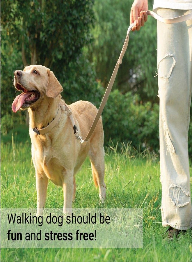 SVD.PET Dog Prong Collar for No-Pull Training, Quick-Release Buckle Adjustable Pinch Collar for Medium Dogs (Tan, Medium Size) - Image 5