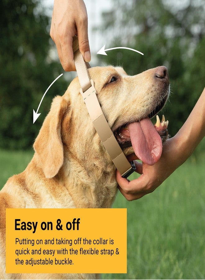 SVD.PET Dog Prong Collar for No-Pull Training, Quick-Release Buckle Adjustable Pinch Collar for Medium Dogs (Tan, Medium Size) - Image 3
