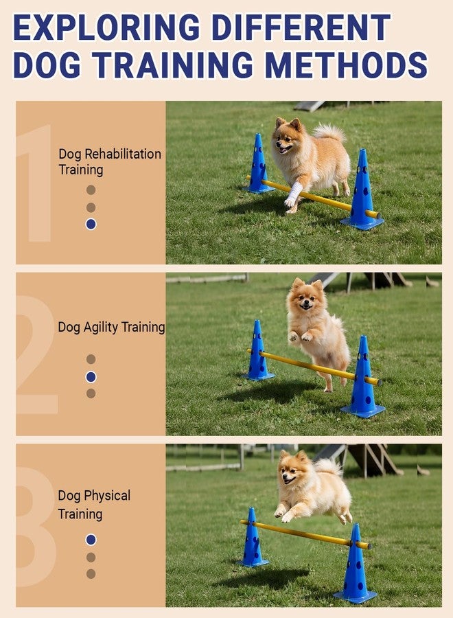 Lupar Dog Agility Course Backyard Set, Dog Agility Hurdle Cone Set with Height Adjustable Crossbar for Rehabilitation & Beginners, Dog Agility Equipment for Dog Obstacle Course - 12 Inch - Image 3