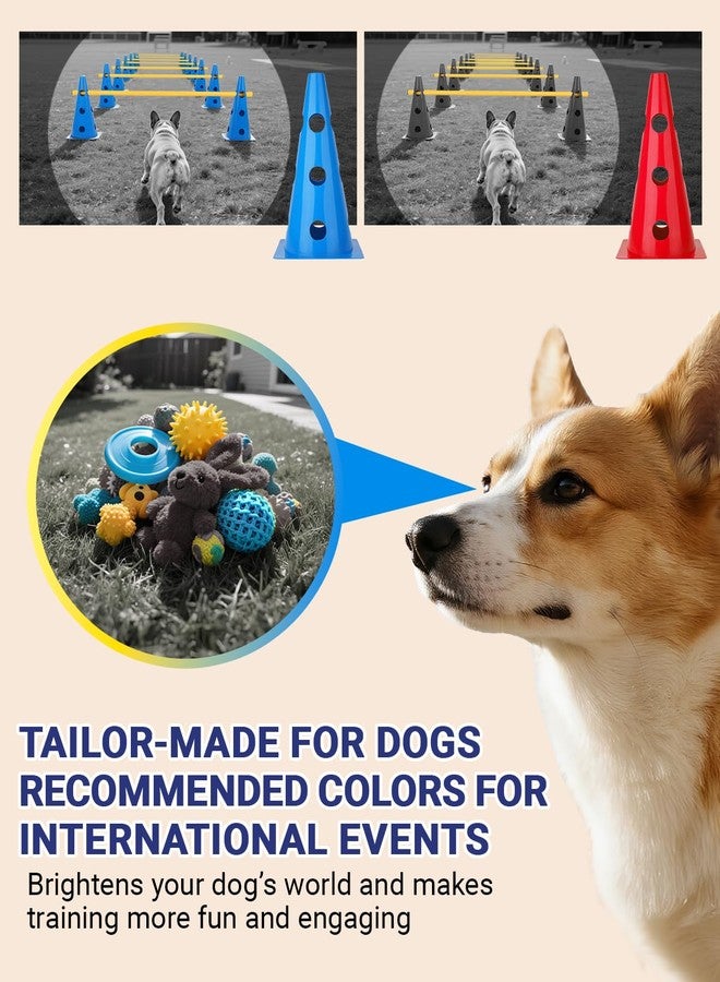 Lupar Dog Agility Course Backyard Set, Dog Agility Hurdle Cone Set with Height Adjustable Crossbar for Rehabilitation & Beginners, Dog Agility Equipment for Dog Obstacle Course - 12 Inch - Image 4