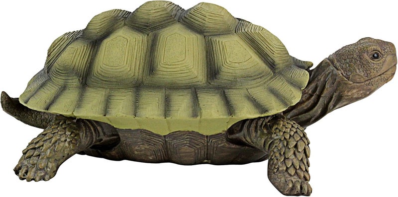 Design Toscano QM1887611 Gilbert The Box Turtle Garden Decor Animal Statue, 9 Inch, Full Color - Image 4