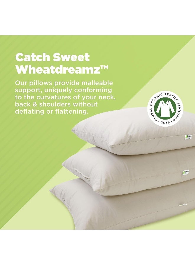 Bean Products Japanese Bed Pillow for Sleeping Organic Buckwheat Fill with Organic Cotton Fabric Soft Head Pillow EcoFriendly Breathable and Durable Sleep Aid Made in The USA 14 x 20 - Image 2