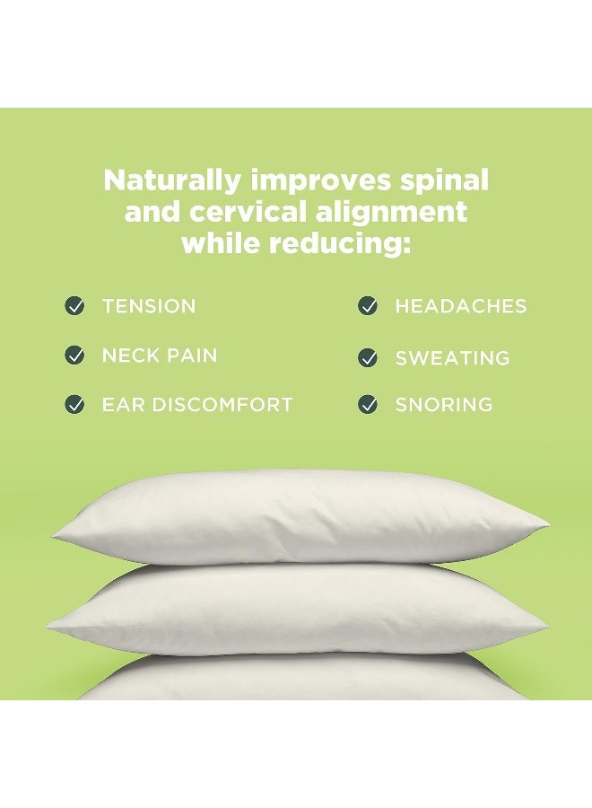 Bean Products Japanese Bed Pillow for Sleeping Organic Buckwheat Fill with Organic Cotton Fabric Soft Head Pillow EcoFriendly Breathable and Durable Sleep Aid Made in The USA 14 x 20 - Image 3