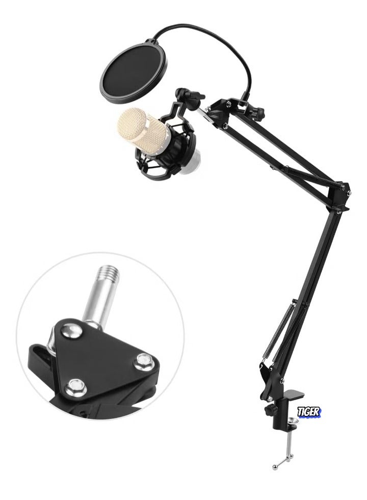 TIGER Adjustable Foldable Microphone Stand – Heavy Duty Metal Mic Arm Bracket with Shock Proof Holder, Windshield Pop Filter for Studio Recording, Live Video Broadcasting, and Online Singing - Image 1