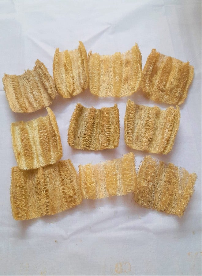 rdassociates ® Natural Scrubber Loofah Kitchen & Bathroom Loofah Small Size (Pack of 10) - Image 3