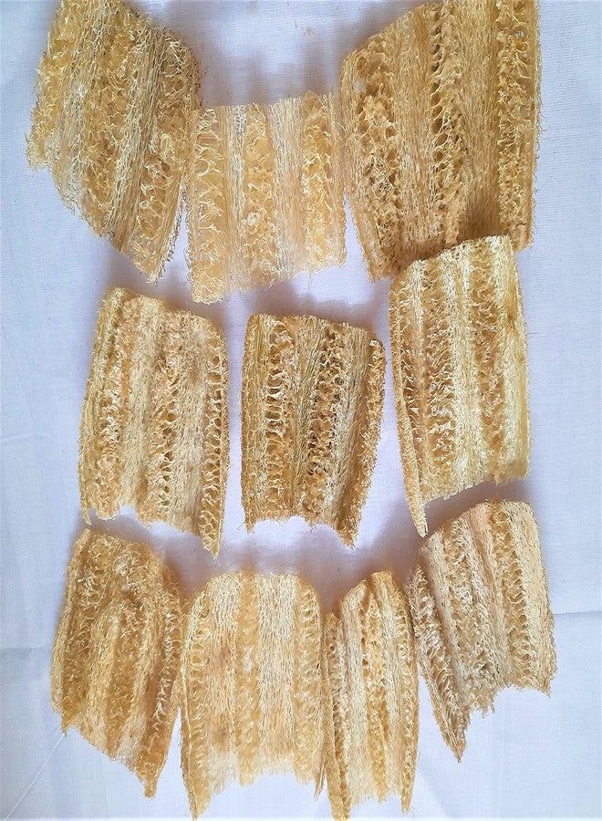 rdassociates ® Natural Scrubber Loofah Kitchen & Bathroom Loofah Small Size (Pack of 10) - Image 4