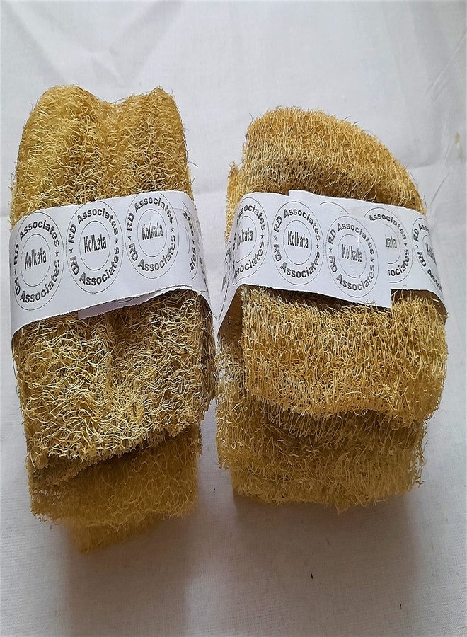 rdassociates ® Natural Scrubber Loofah Kitchen & Bathroom Loofah Small Size (Pack of 10) - Image 1