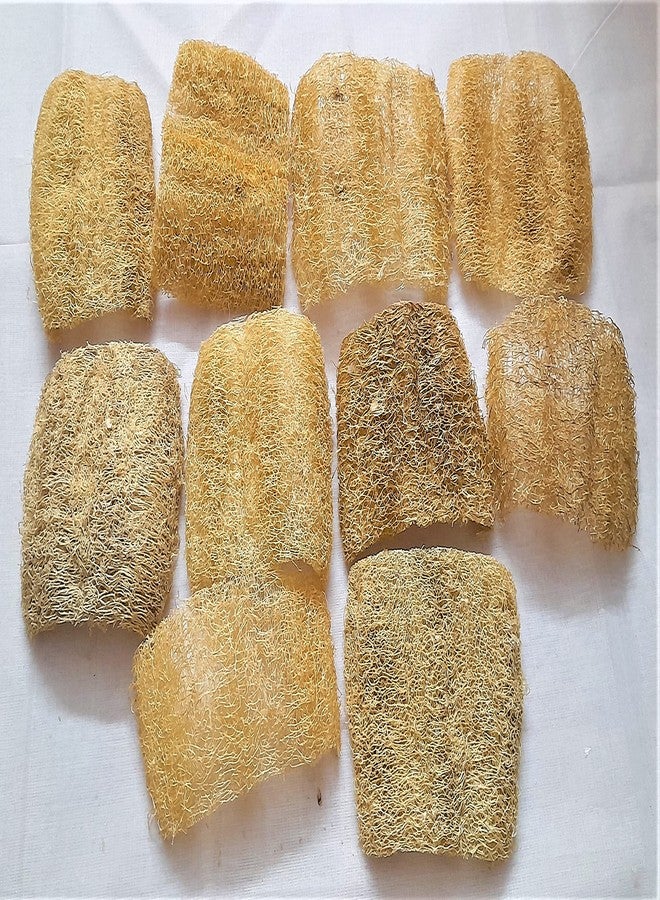 rdassociates ® Natural Scrubber Loofah Kitchen & Bathroom Loofah Small Size (Pack of 10) - Image 5