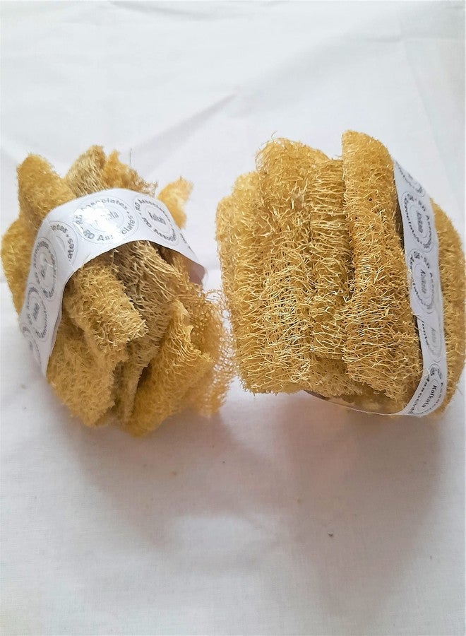 rdassociates ® Natural Scrubber Loofah Kitchen & Bathroom Loofah Small Size (Pack of 10) - Image 2