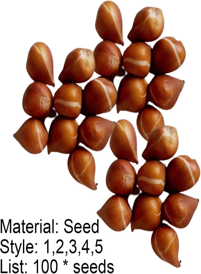 جي جوت 100 قطعة/حقيبة من بذور التوليب، بذور بونساي طبيعية معمرة ذات رائحة زاهية للشرفة 5 - Image 2