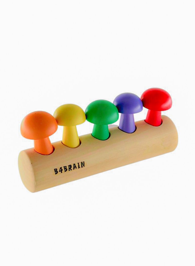 B4BRAIN Complete Developmental Playbox (12-15 Months) - Image 3