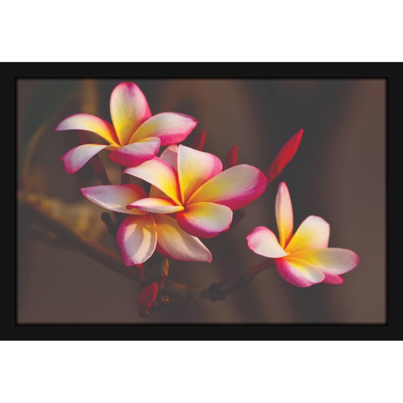 Mad Masters Flower Nature Beauty Painting Aesthetic Hanging Photo Frame Decorative Item Home Decoration and Wall Decor for Living Room and Bedroom MM 2835 8x12 Inch Paper Without Plexi Glass - Image 1
